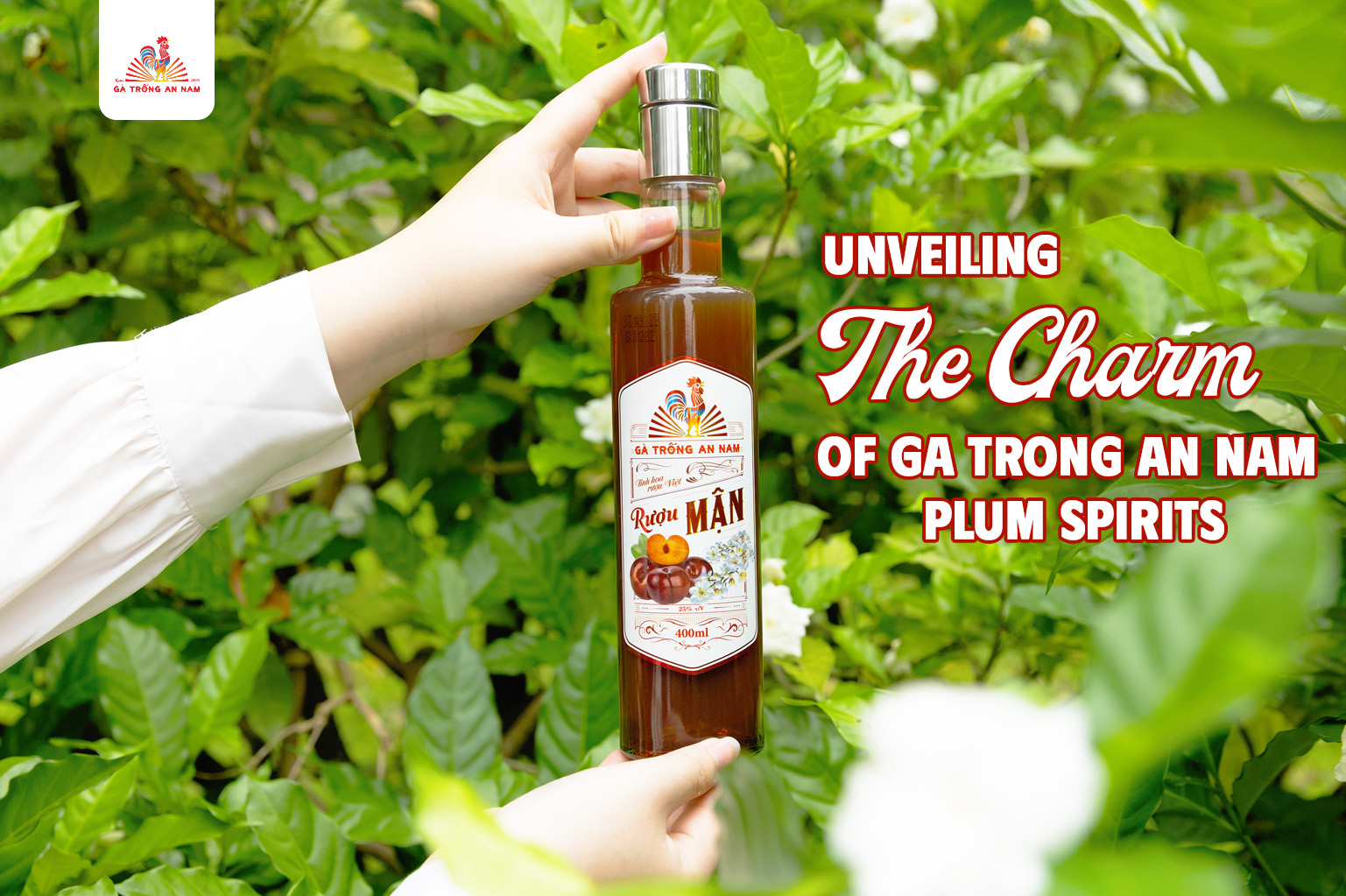 Unveiling the Charm of Ga Trong An Nam Plum Spirits
