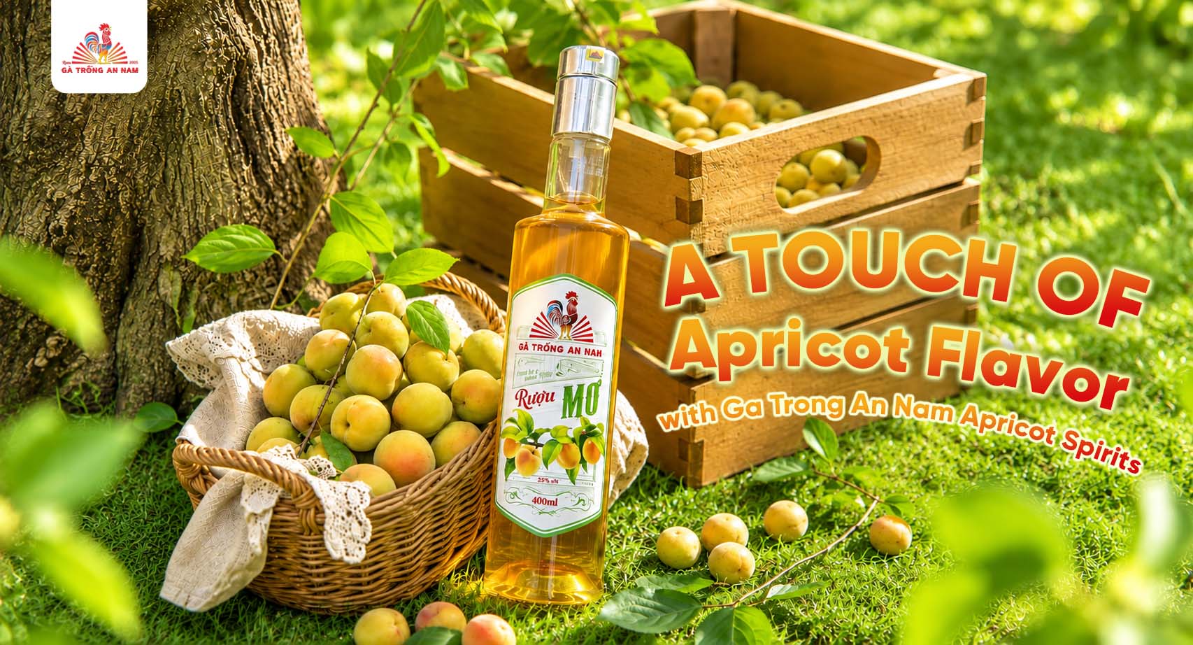 Weekend Gatherings: Bringing a Touch of Apricot Flavor with Ga Trong An Nam Apricot Spirits
